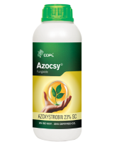 AZOCSY 23