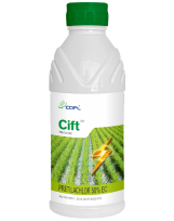 CIFT