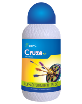 CRUZE SC