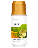 HALLIC