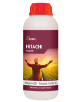 HITACHI